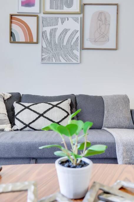 Bright Apartment Walk To Ballston Metro Arlington Ngoại thất bức ảnh